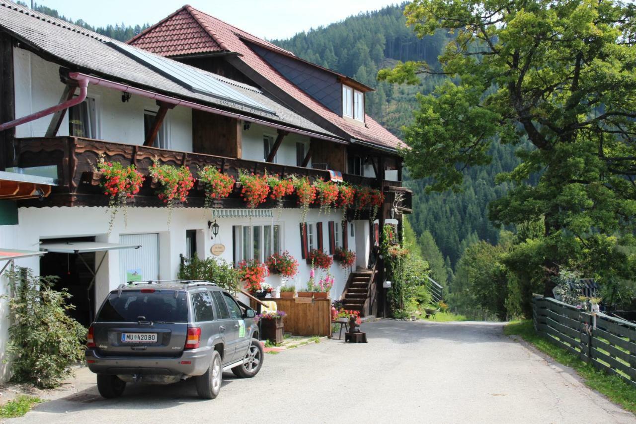 Haus Mauken - Appartments Mit Panoramablick Мурау Екстер'єр фото